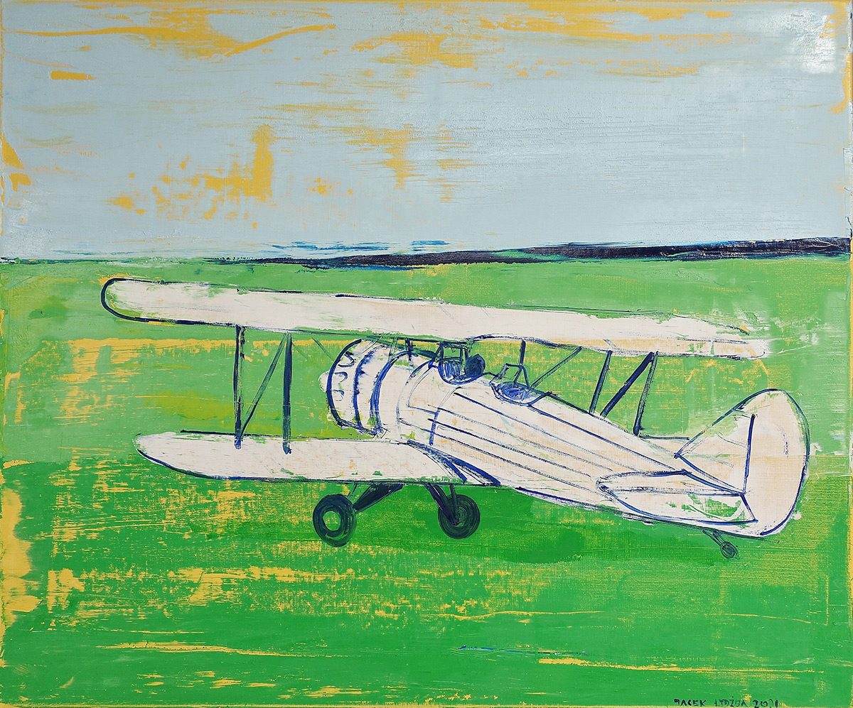 Jacek Łydżba - White plane on the grass (Oil on Canvas | Size: 126 x 106 cm | Price: 8000 PLN)